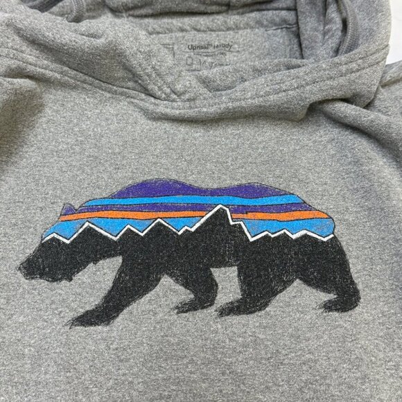Patagonia Women’s Fitz Roy Bear Uprisal Hoody Large Gray EUC - Picture 2 of 10